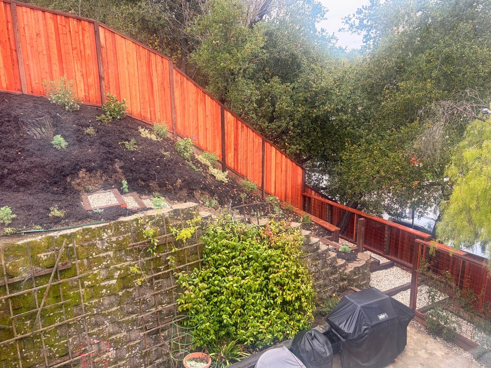 Hillside transformation — after photos