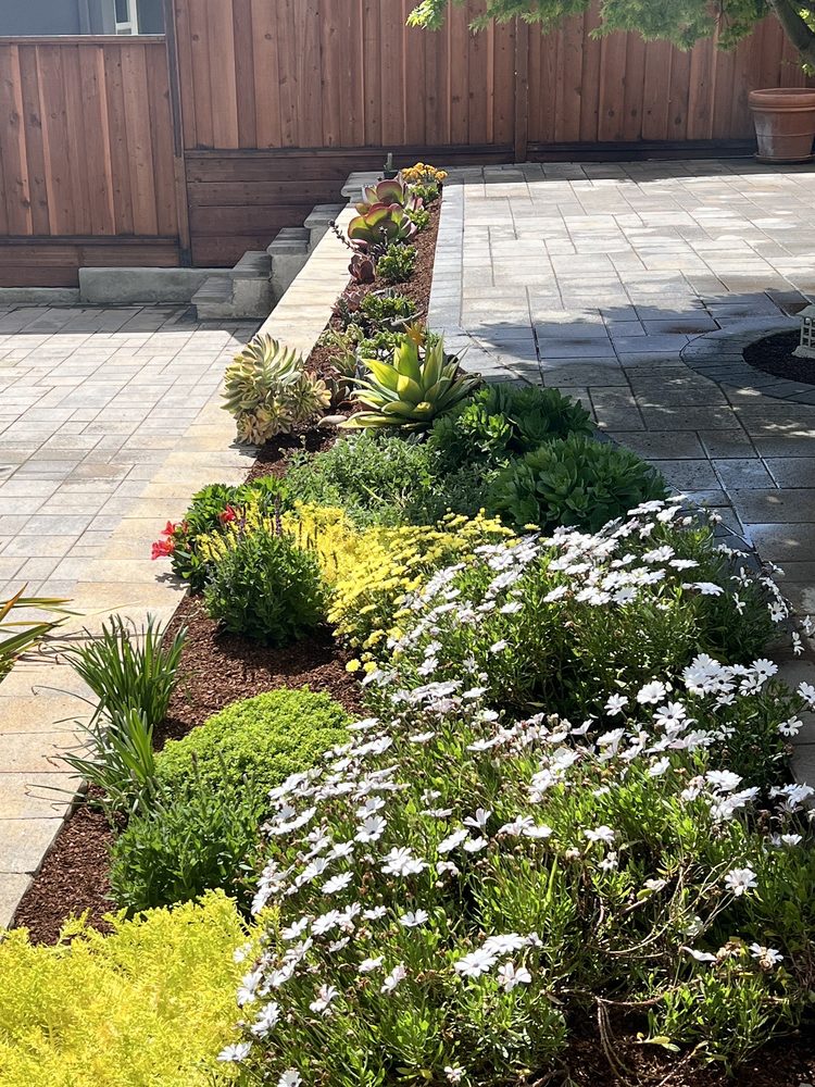 Paver patio, planting beds, and fence installation