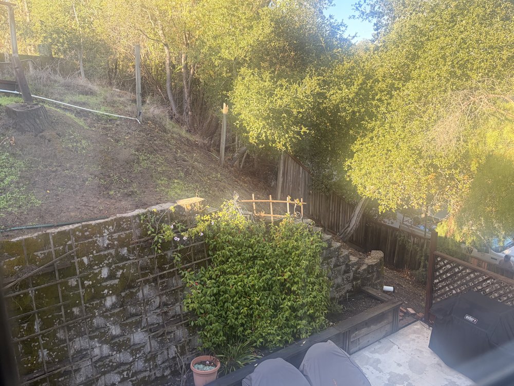 Overgrown hillside with weathered fence — before Kevin's Gardening Service transformed the yard